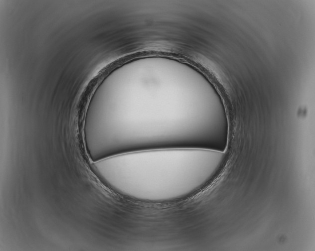 X0000097460923200802220803