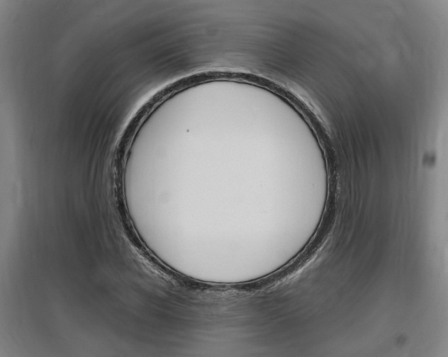 X0000097460926200802220803