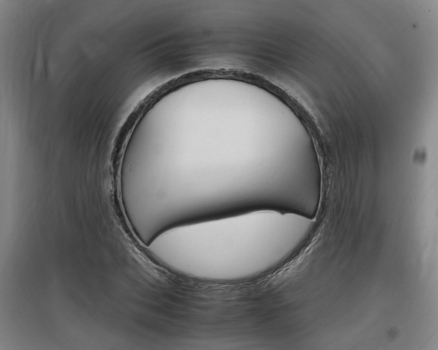 X0000097460927200802220803