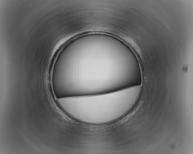 X0000097460928200802220803