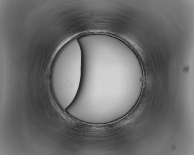 X0000097460933200802220803