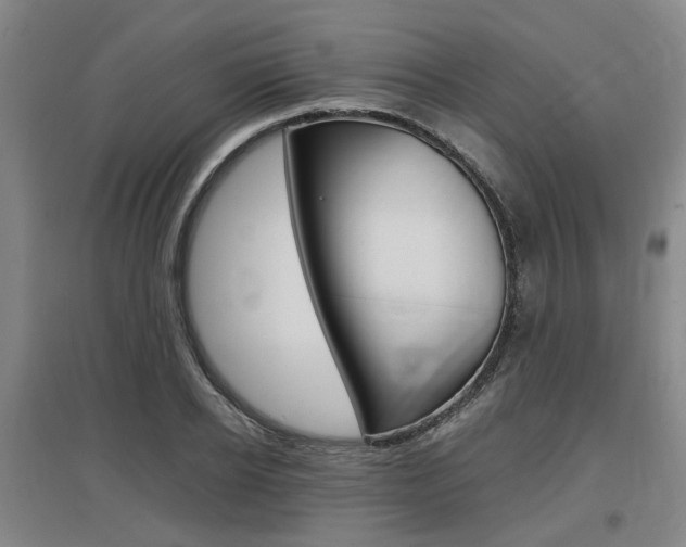 X0000097460934200802220803