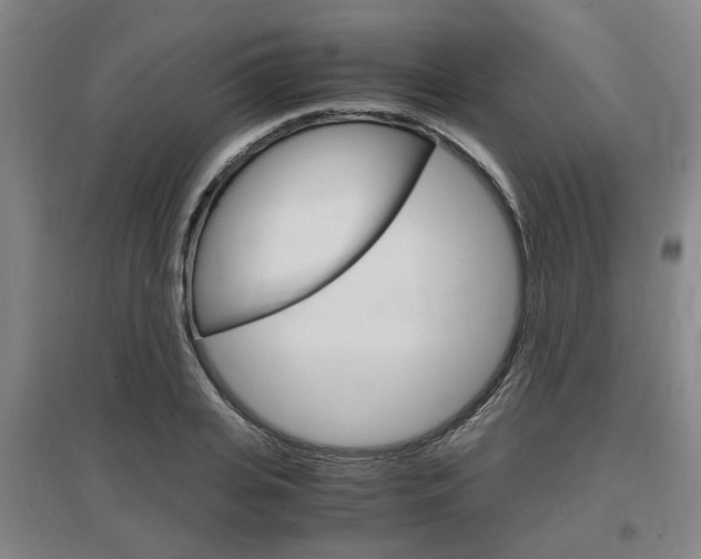 X0000097460935200802220803