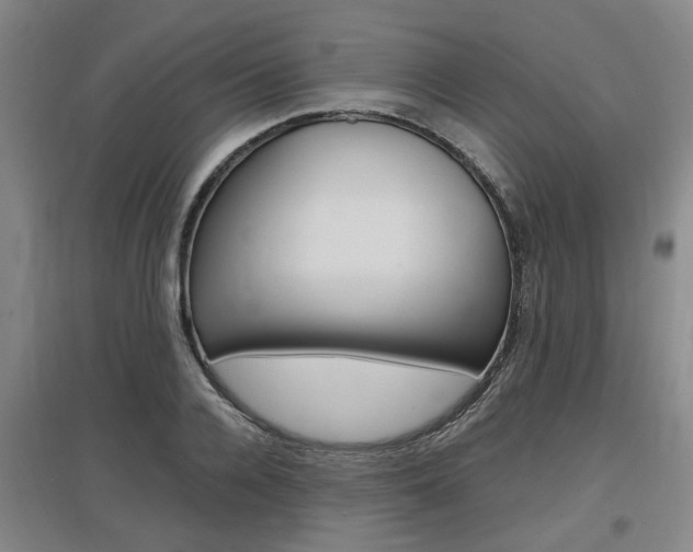 X0000097460936200802220803