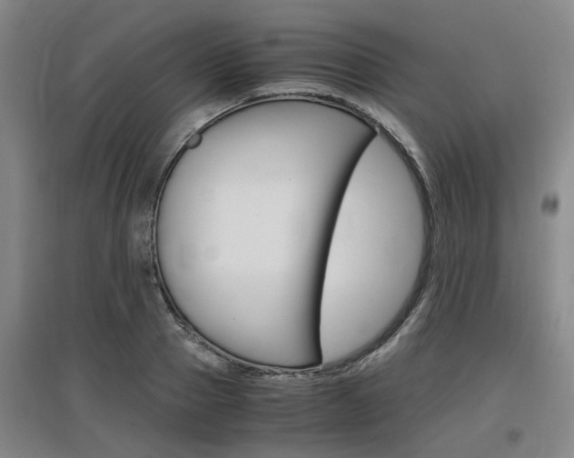 X0000097460937200802220803