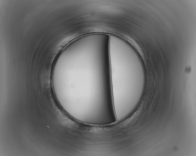 X0000097460938200802220803
