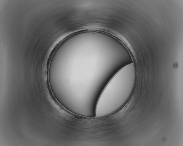 X0000097460939200802220803