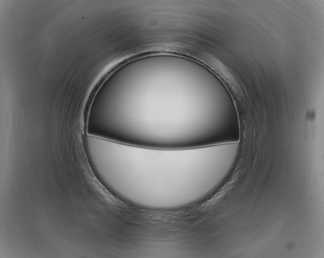 X0000097460940200802220803