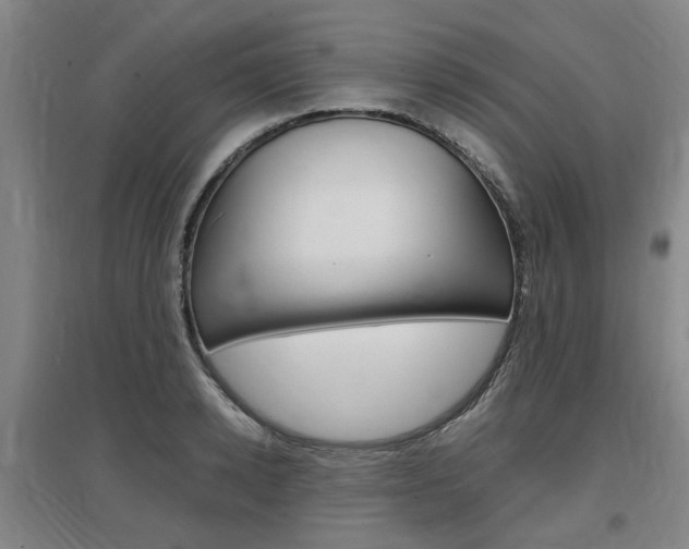 X0000097460942200802220803