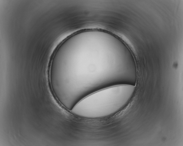 X0000097460943200802220803
