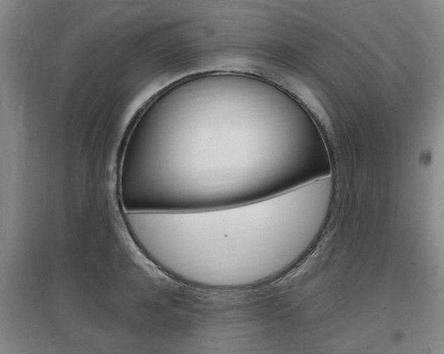 X0000097460944200802220803