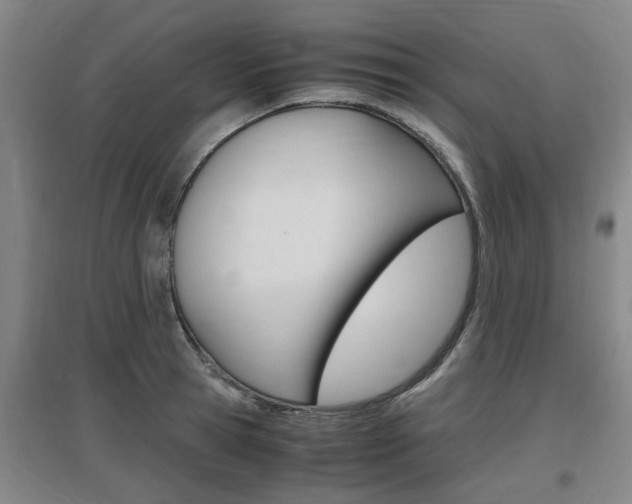 X0000097460945200802220803