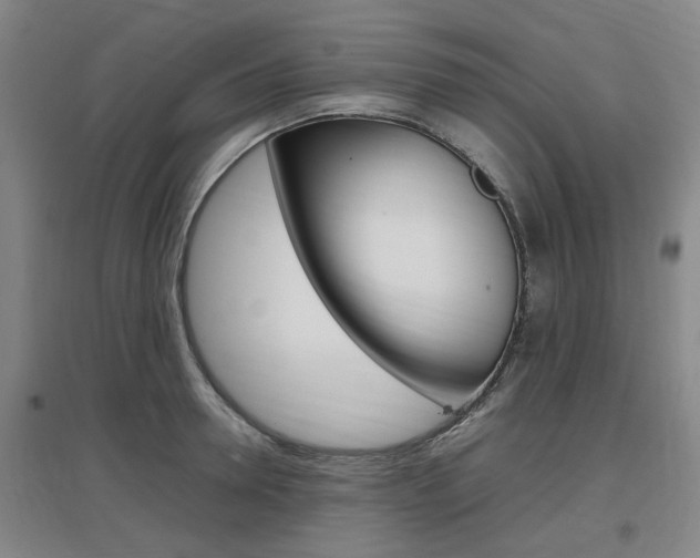 X0000097460946200802220803