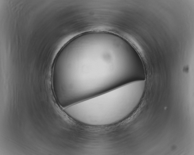 X0000097460948200802220803