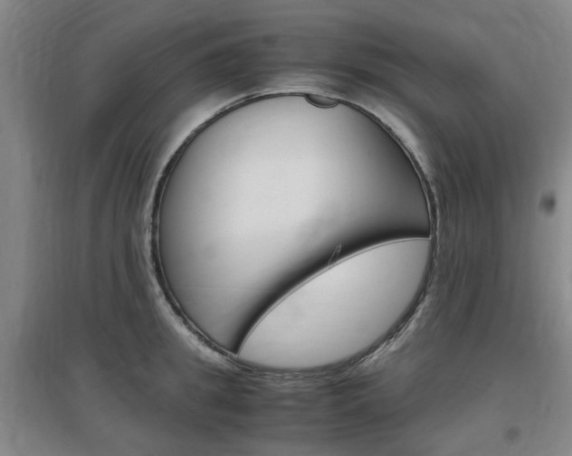X0000097460949200802220803