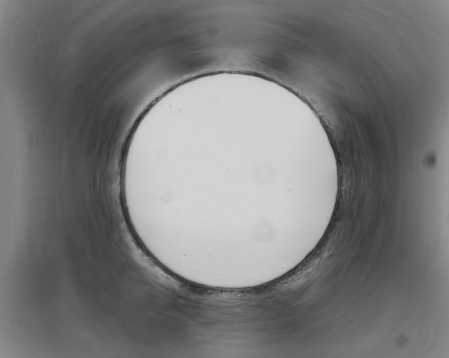 X0000097460950200802220803