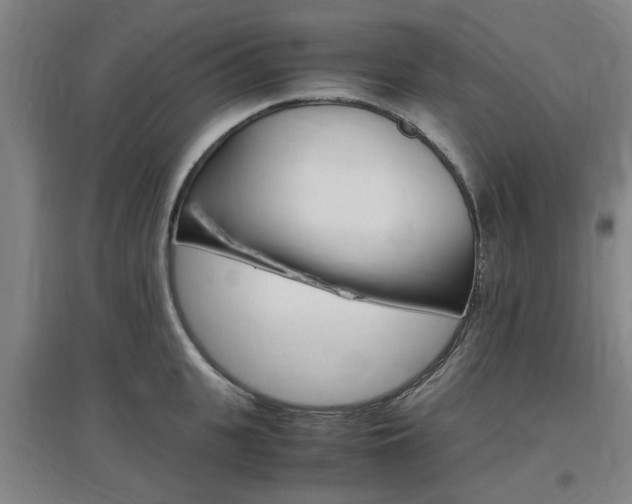X0000097460951200802220803