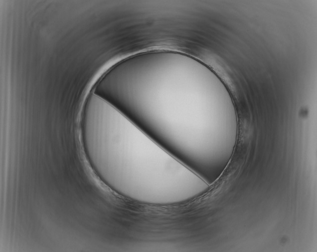 X0000097460955200802220804