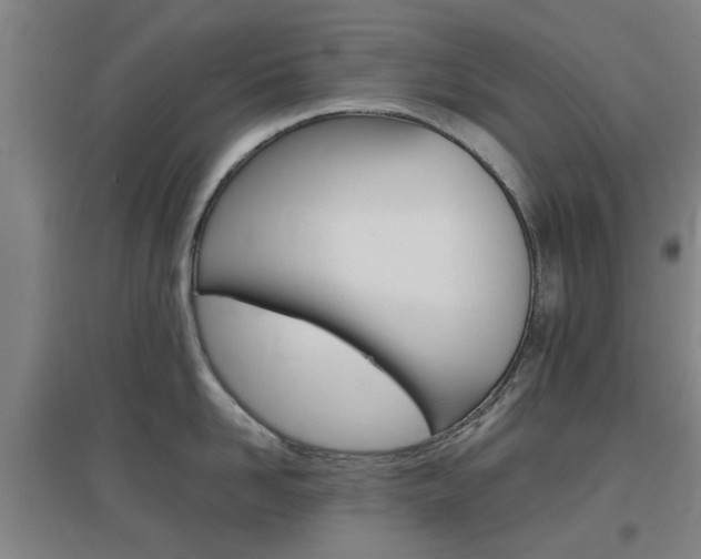 X0000097460958200802220804