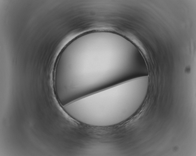 X0000097460959200802220804