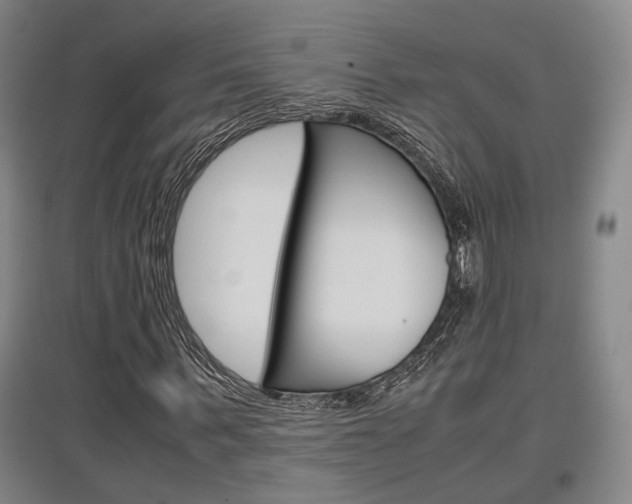 X0000097460963200802220803