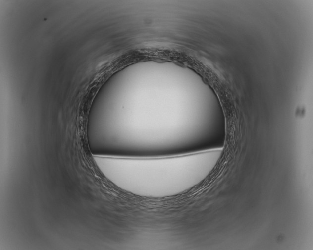 X0000097460965200802220803