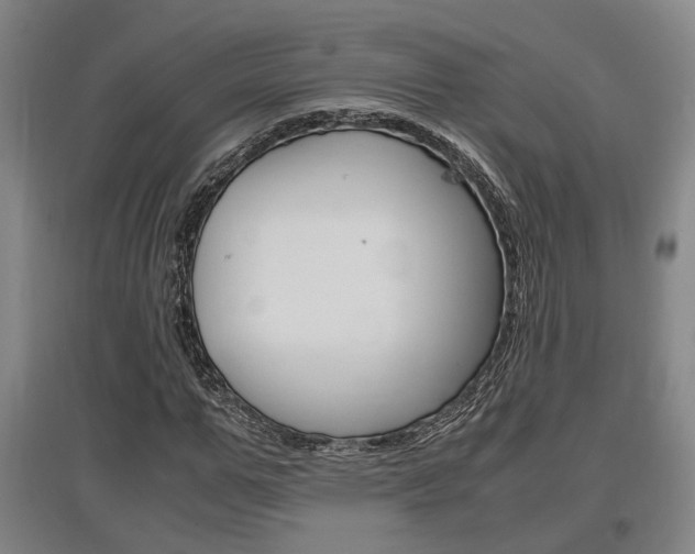 X0000097460967200802220803