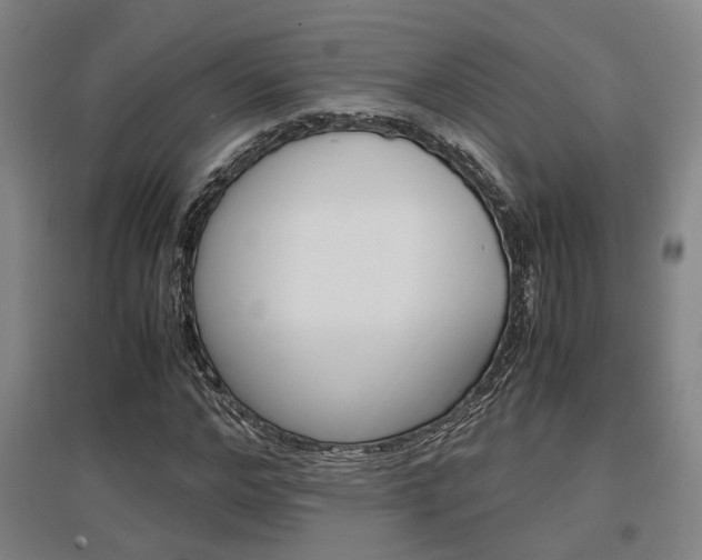 X0000097460968200802220803
