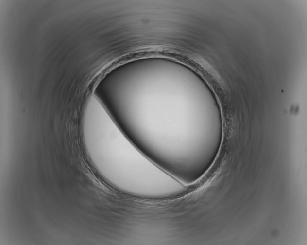 X0000097460969200802220803