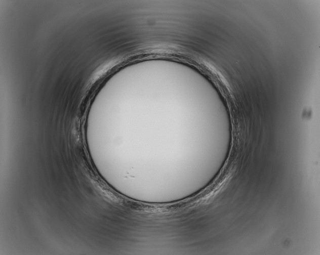 X0000097460970200802220803
