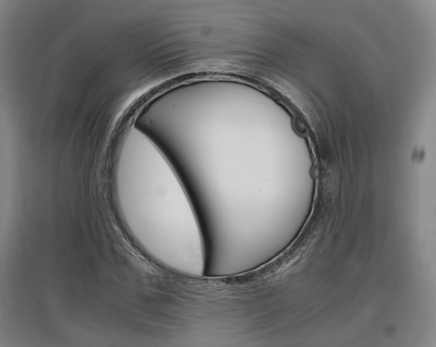 X0000097460971200802220803