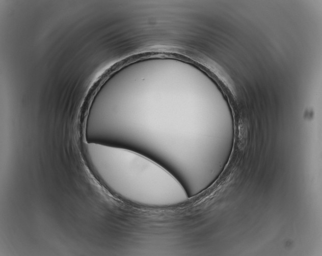 X0000097460972200802220803