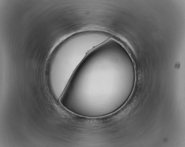 X0000097460973200802220803