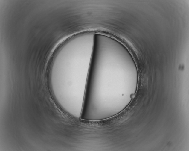 X0000097460975200802220803