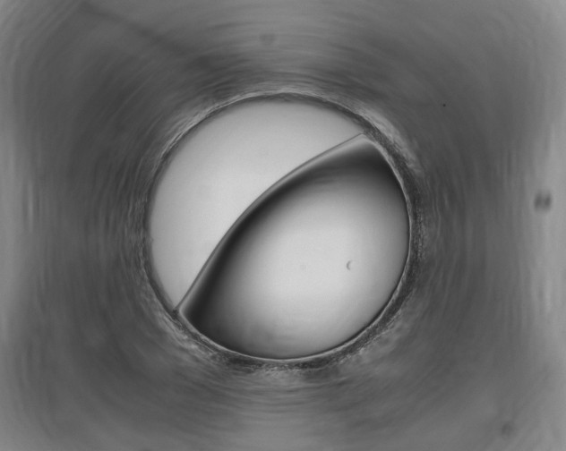 X0000097460977200802220803