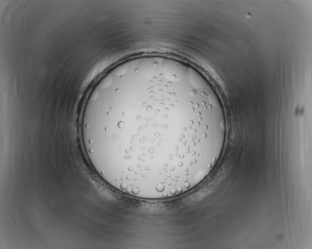 X0000097460978200802220803