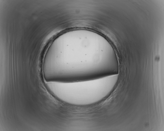 X0000097460979200802220803