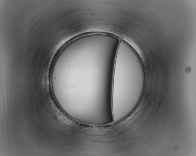 X0000097460980200802220803
