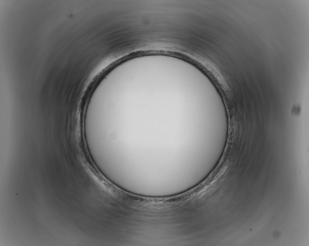 X0000097460982200802220803