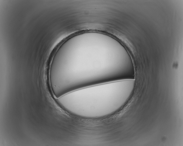 X0000097460983200802220803