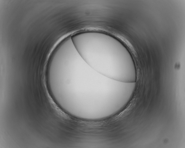 X0000097460984200802220803