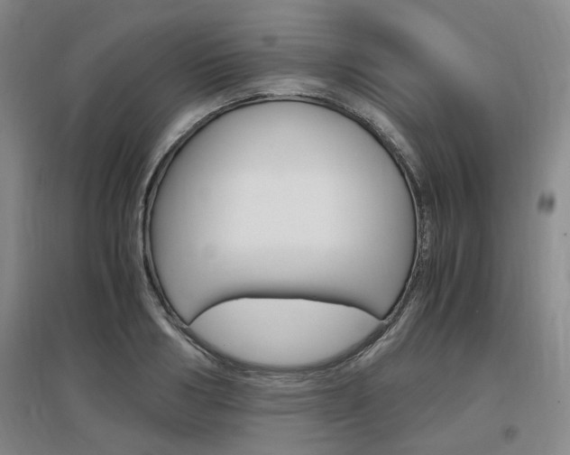 X0000097460986200802220803
