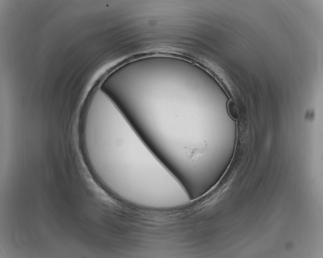 X0000097460987200802220803