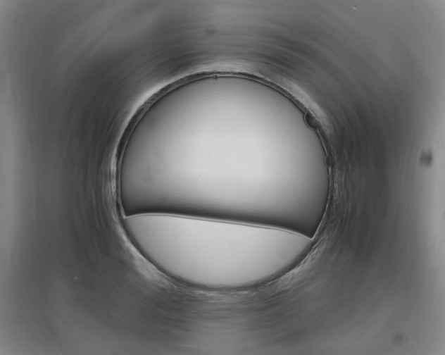 X0000097460988200802220803