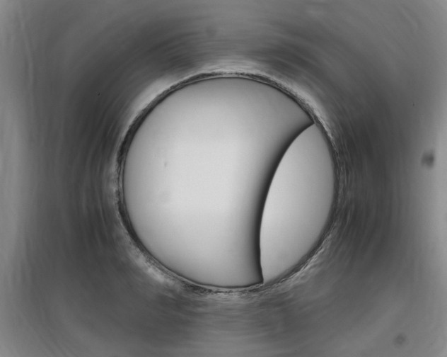 X0000097460990200802220803
