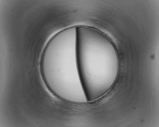 X0000097460991200802220803