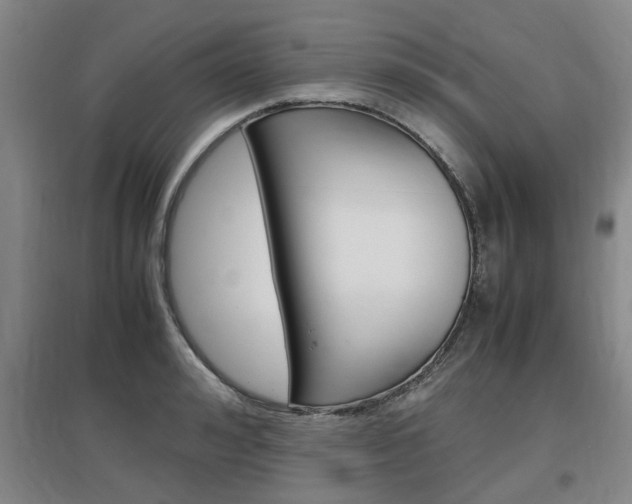 X0000097460992200802220803