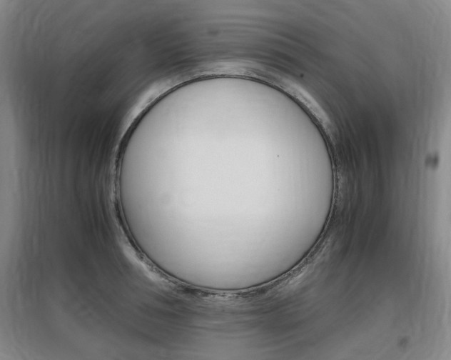 X0000097460994200802220802