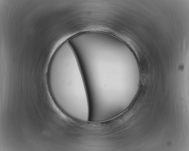 X0000097460995200802220802
