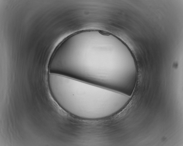 X0000097460996200802220802